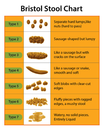 Stool Scale Chart
