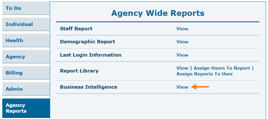 EVV Dashboard In Business Intelligence