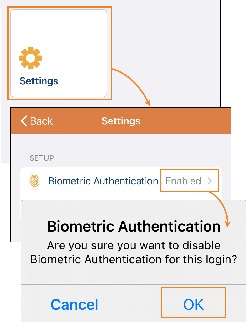Biometric Authentication in Apple Devices