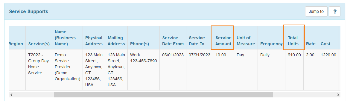 Screenshot of Service Supports table of Individual Plan