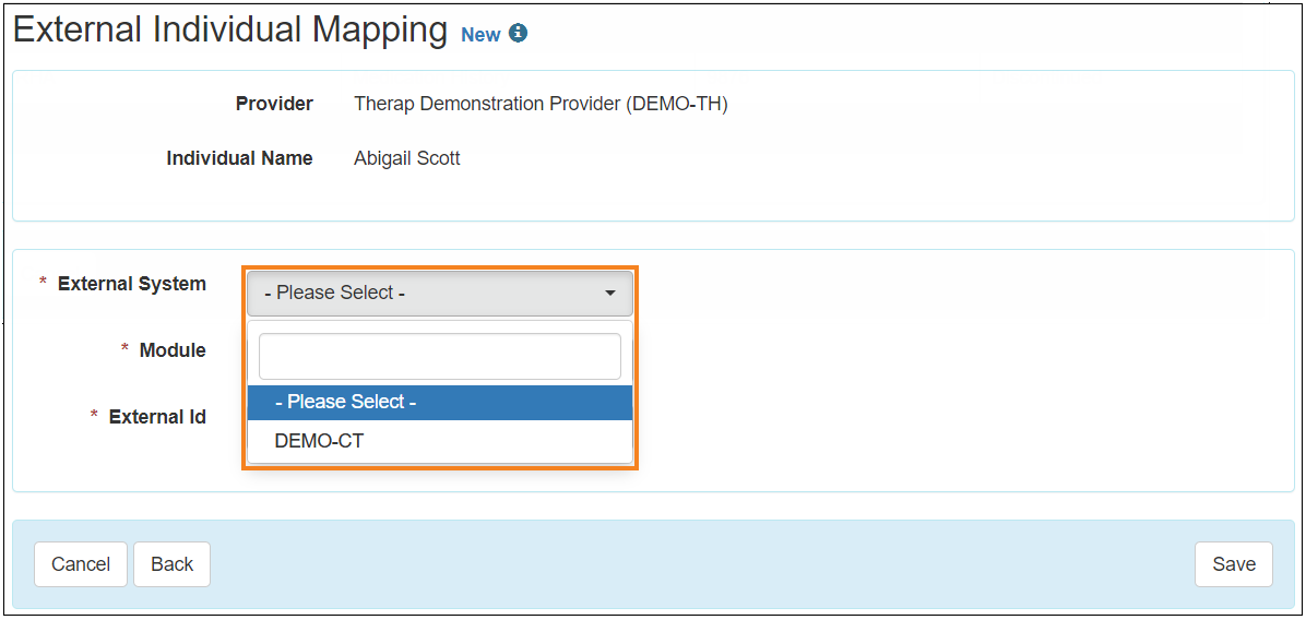 Screenshot showing the External System field of the External Individual Mapping form.