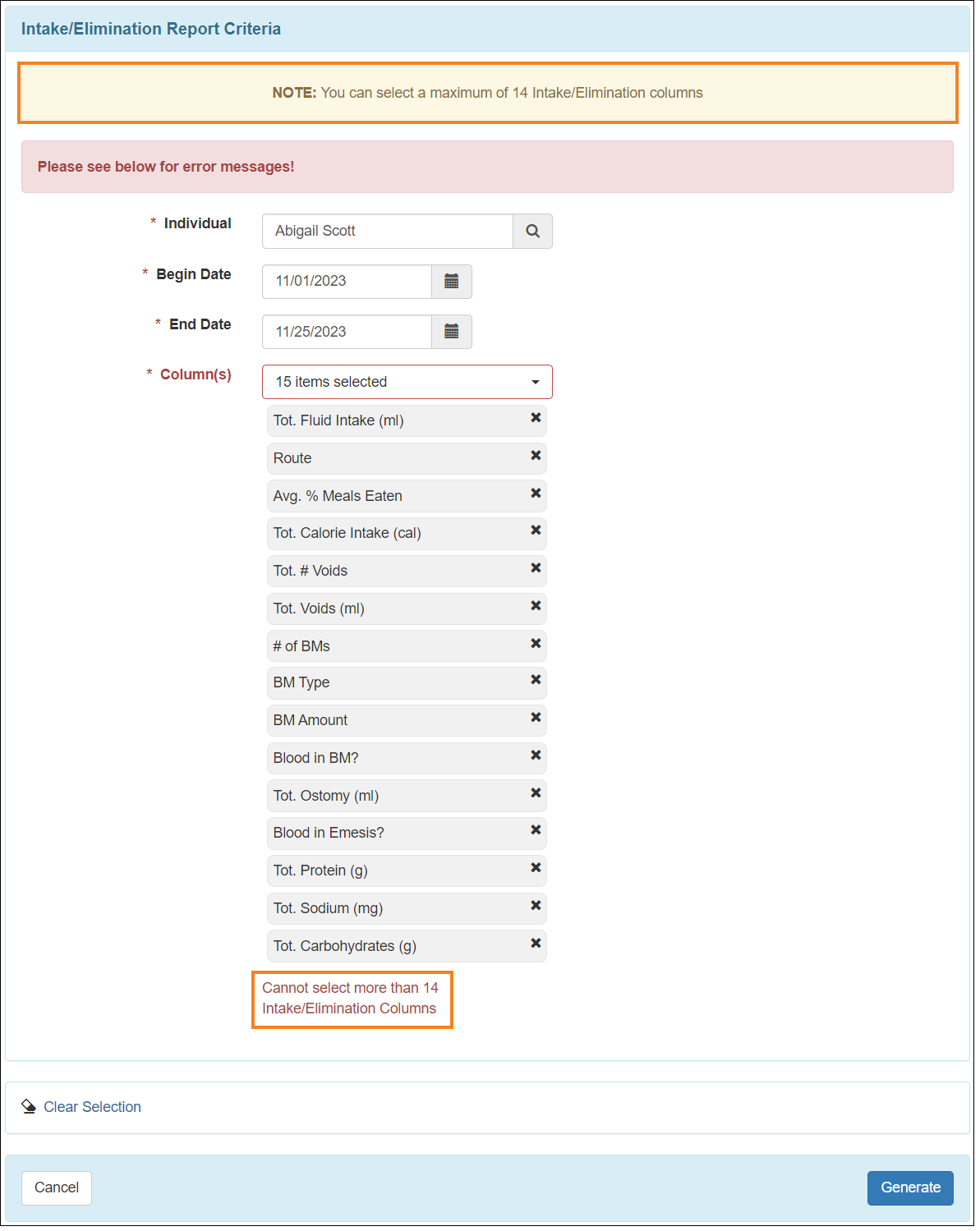 Screenshot showing the I/E report criteria.
