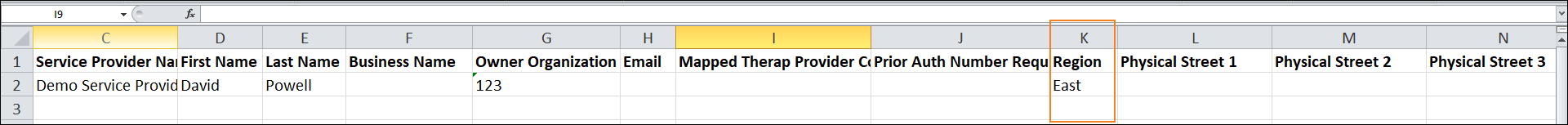 Screenshot of the Excel sheet showing the Region field.