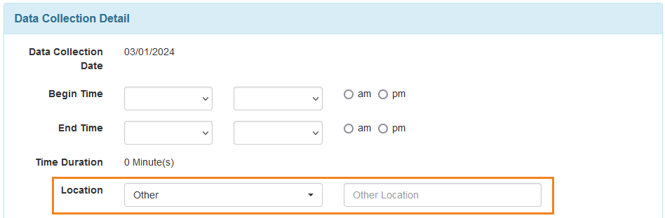 Screenshot of the Location and Other Location fields of ISP Data