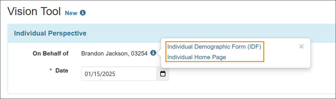 Screenshot showing the Individual Perspective section of the Vision Tool Form