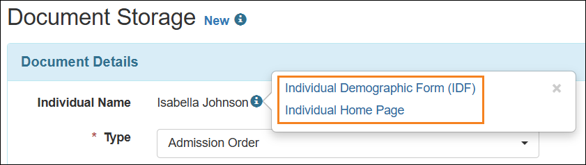 Screenshot showing the Document Details section of the Document Storage Form