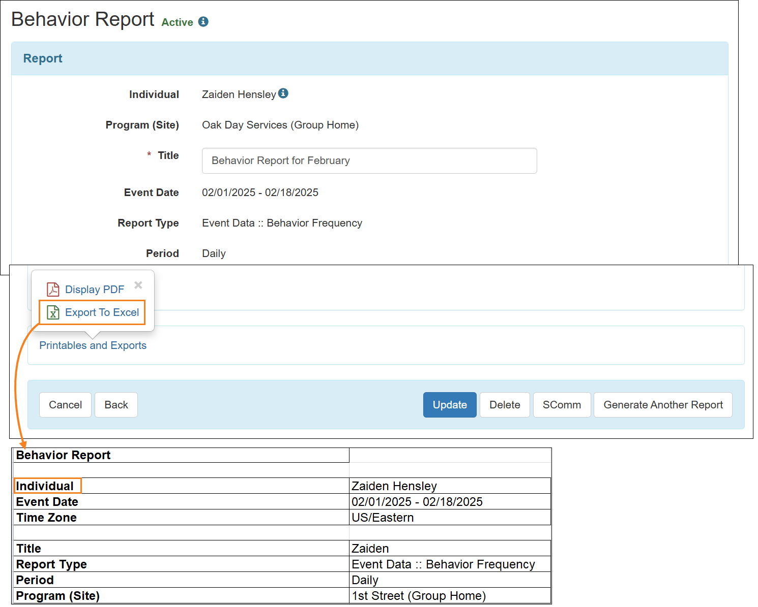 Screenshot showing the Individual field in the Excel of Behavior Report