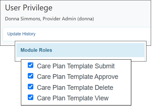 Screenshot showing the Care Plan Template administrative roles.