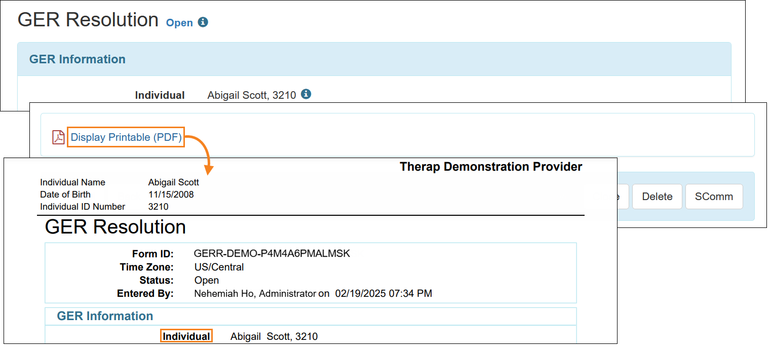 Screenshot showing the PDF of the GER Resolution form