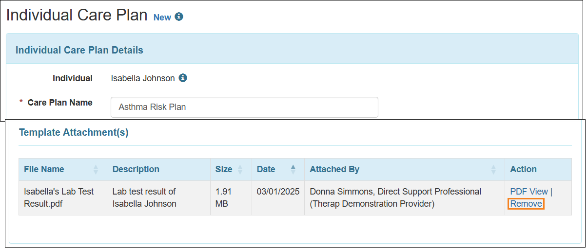 Screenshot showing the Remove link under the Template Attachment(s) section of Individual Care Plan.
