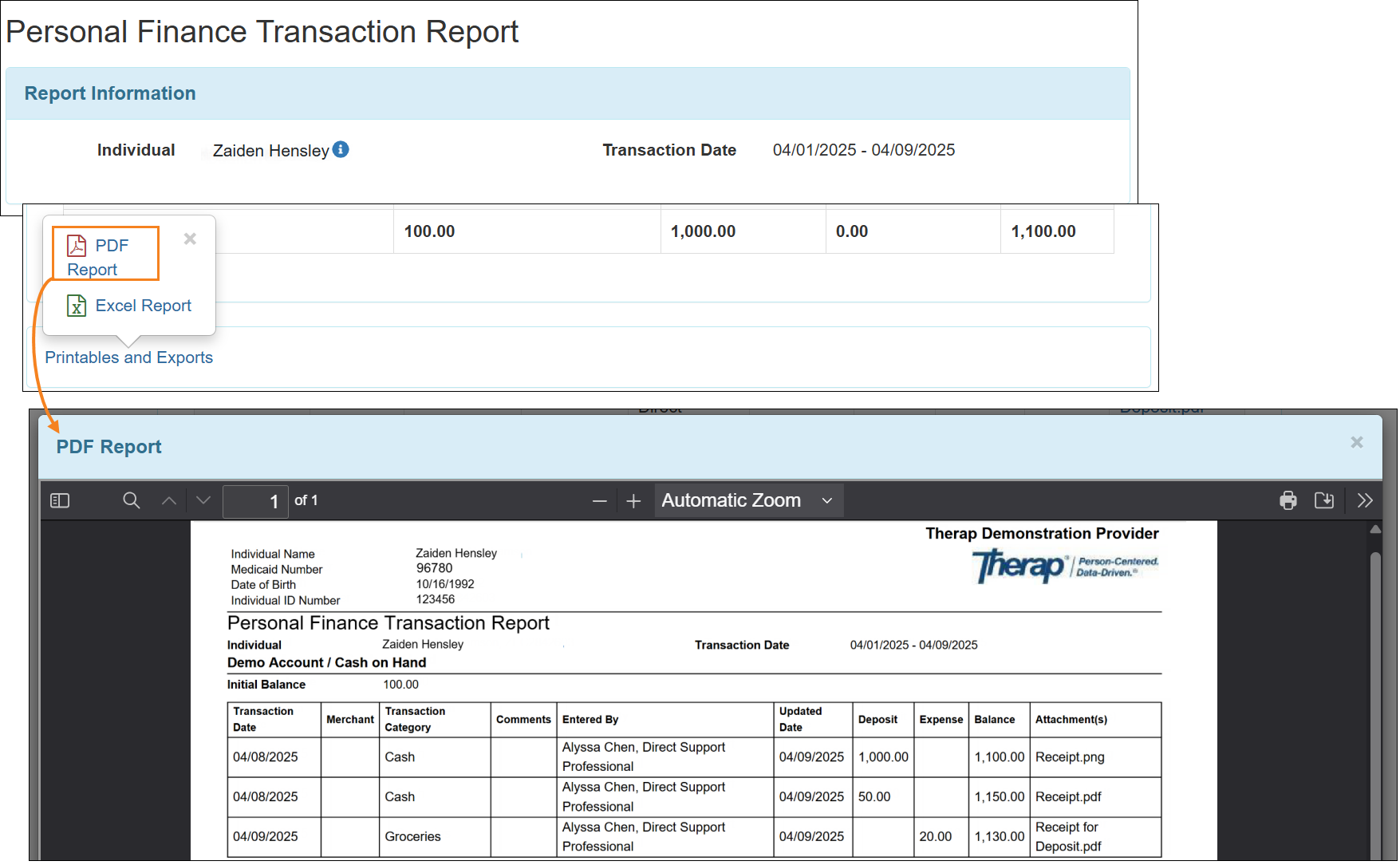 Screenshot showing the PDF Viewer from the PDF Report link of the Personal Finance Transaction Report.