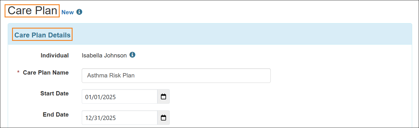 An image of the Care Plan form name and the Care Plan Details section name.