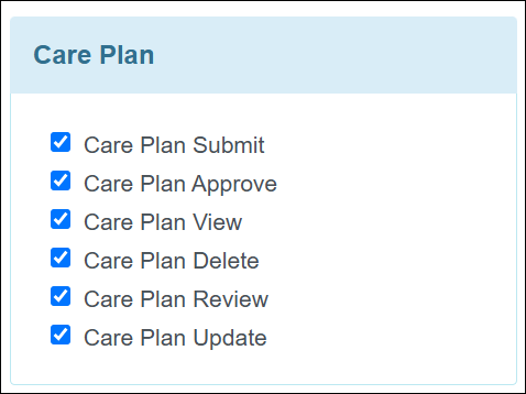 An image of the Care Plan caseload-based roles.