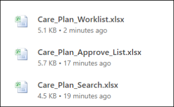 An image of the Care Plan downloaded excel files.