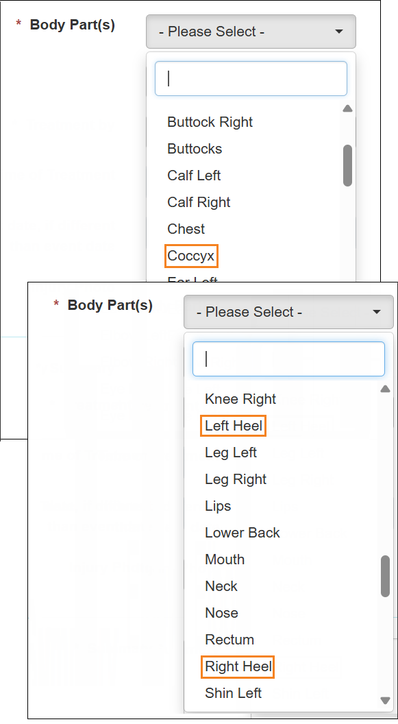 Screenshot showing the new Body Parts.