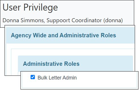 Screenshot showing the Bulk Letter Admin administrative role.