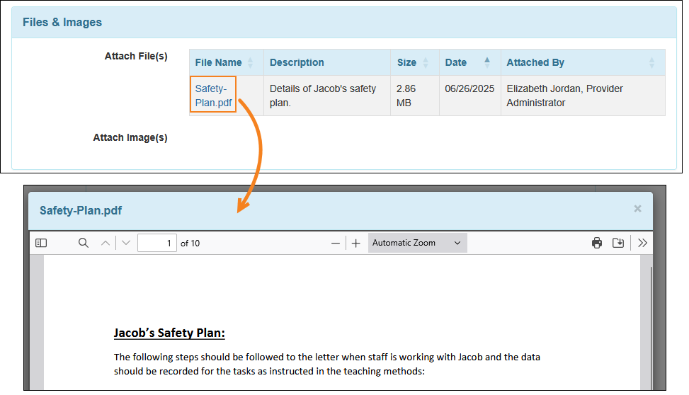 Screenshot showing the PDF Viewer from the Files & Images section of an ISP Program
