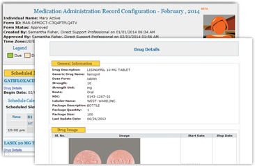 therap electronic documentation for intellectual and developmental
