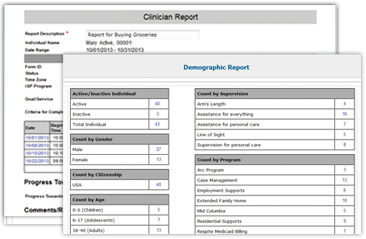 therap electronic documentation for intellectual and developmental