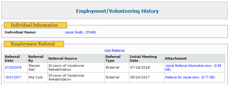 employment services and supports