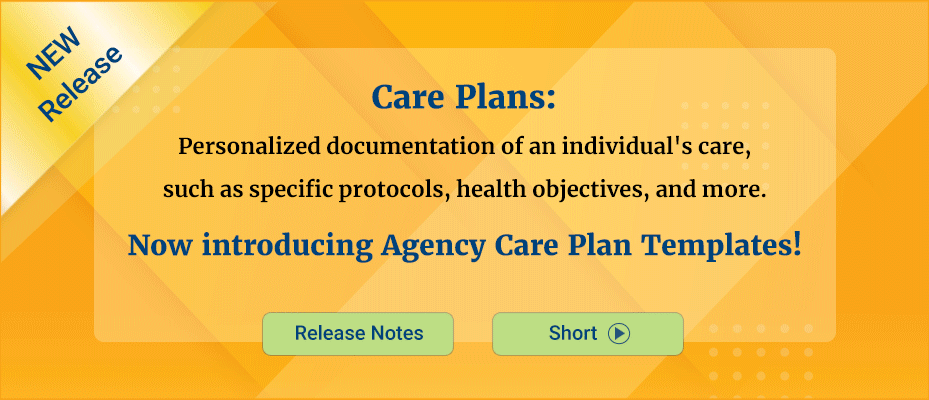 Therap Care plan templates