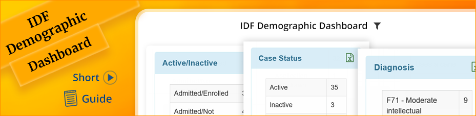 Therap IDF Demographic Dashboard