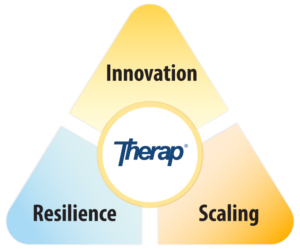 Therap Security Triad